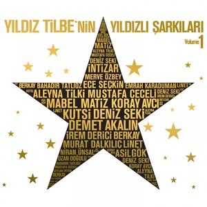 Değilsin