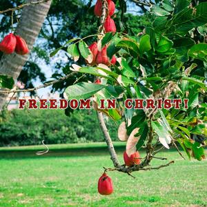 LIFE IS A BLESSING! (COMPLETE VERSION!)