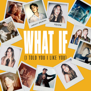 What If(I Told You I Like You) (Bit Funk Remix)