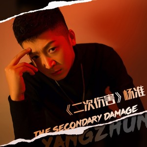 二次伤害 (DJ heap九天版)