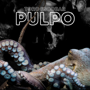 Pulpo