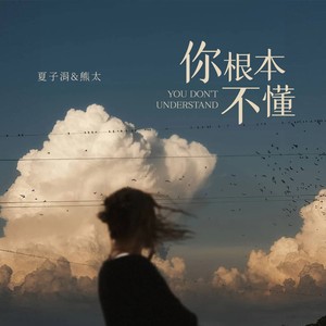 你根本不懂