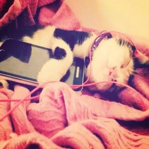 DOUBT ME (feat. pitchweavr & victxrw)