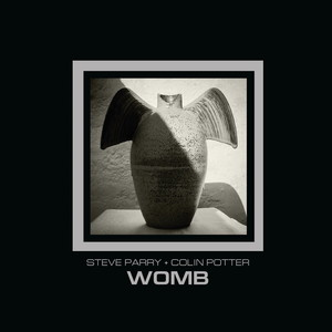 Womb