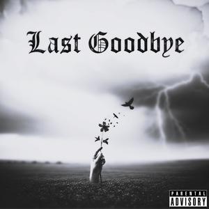 Last Goodbye (feat. Lana) (Explicit)