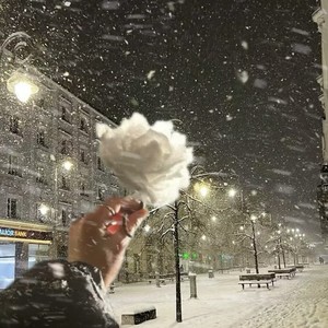 小野来了 - 去北极忘记你 (释怀版)