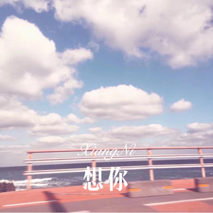 想你 (Remix)