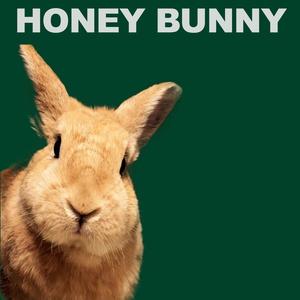 Do You Wanna House (Original Mix)