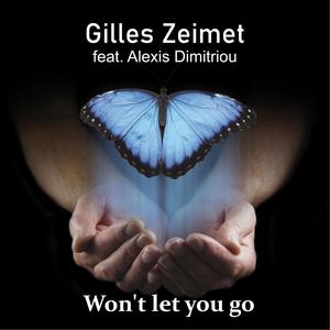 Won't let you go(feat. Alexis Dimitriou)