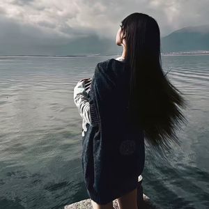 卢浮宫百万撤离 (赤岭旋律V1)