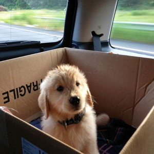 know you more 112352