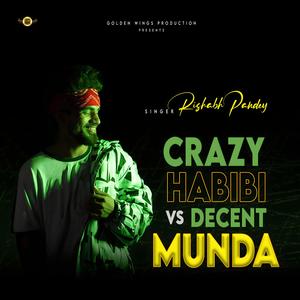 Crazy Habibi vs Decent Munda (feat. Rishabh Pandey)