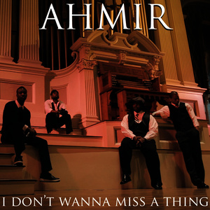I Don't Wanna Miss a Thing