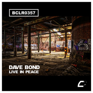 Live In Peace (Original Mix)