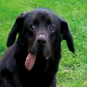 co słychać (lalalaj) (Explicit)