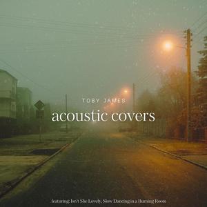 acoustic covers