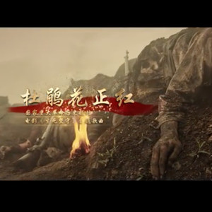 杜鹃花正红 伴奏