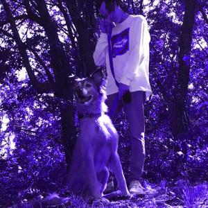 Scuba Steve (Explicit)