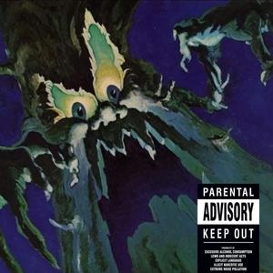 Shameless Style (Explicit)