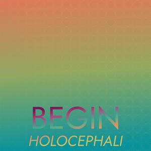 Begin Holocephali