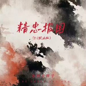 精忠报国-农村大萍子