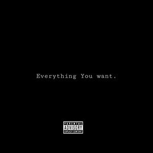 Everything You want (Explicit)