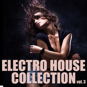 Electro House Collection (Vol. 3)