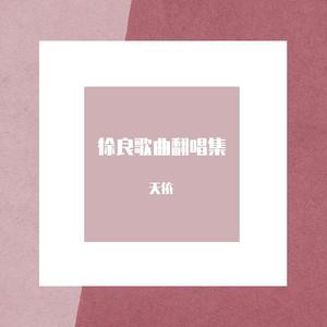 徐良歌曲翻唱集