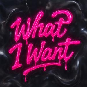 What I Want (Radio Edit)