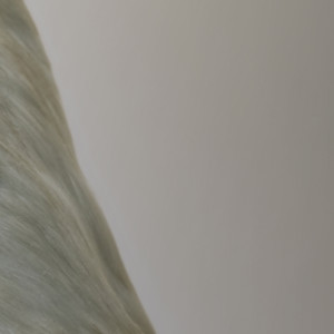 Where Did He Come from, That Man with the Shining Smile?