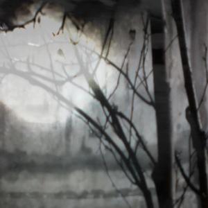 seeing stars (Explicit)