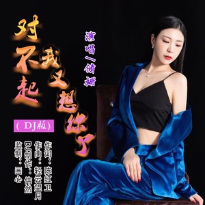 对不起我又想你了 (DJ版)