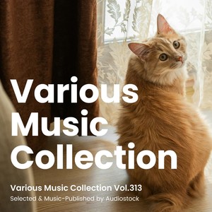 Various Music Collection Vol.313 -Selected & Music-Published by Audiostock-