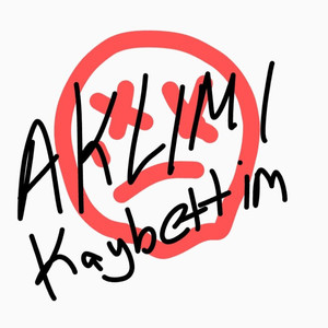 Aklımı Kaybettim