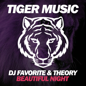Beautiful Night (Original Club Mix)