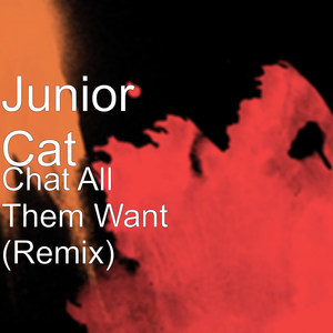 Chat All Them Want (Remix)