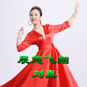 刘真 - 展翅飞翔