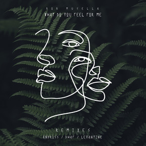 What Do You Feel For Me (DHAF Remix)