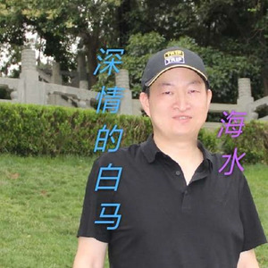 深情的白马