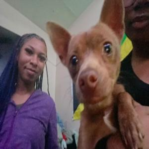 Maajinsflow/Hate that