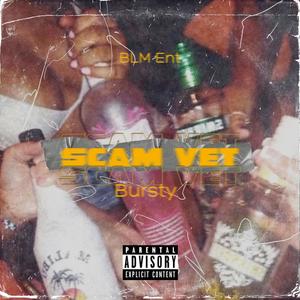 Scam Vet (Explicit)