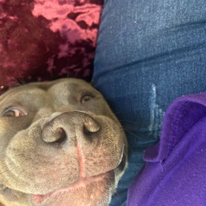 The Next Best Thing (feat. Howie Dooe Little) (Explicit)