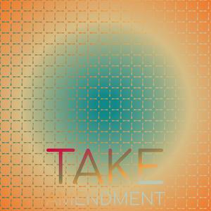 Take Amendment