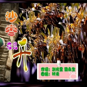 沙枣花儿开 (对唱版)