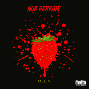 Nur Periode (Explicit)
