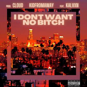 I DON'T WANT NO ***** (feat. KALVXN & prod. CLOUD) (Explicit)