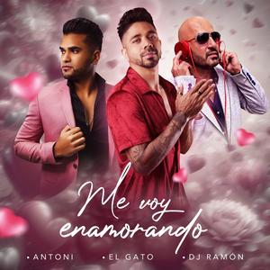 Me Voy Enamorando (Versión Bachata) (Dj Ramon Remix Versión Bachata)
