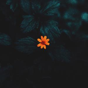 you are still on my mind