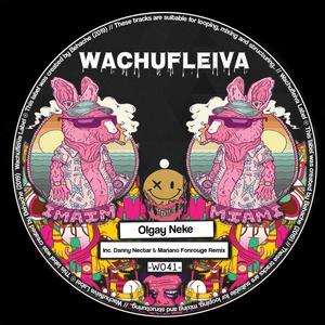 Wachufleiva 41