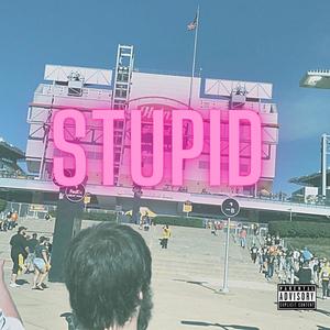 Stupid(feat. Halftime) (Explicit)